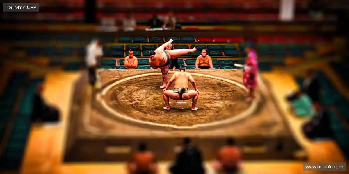 🎯运动装备,潮流周边,一站式满足你的热爱!